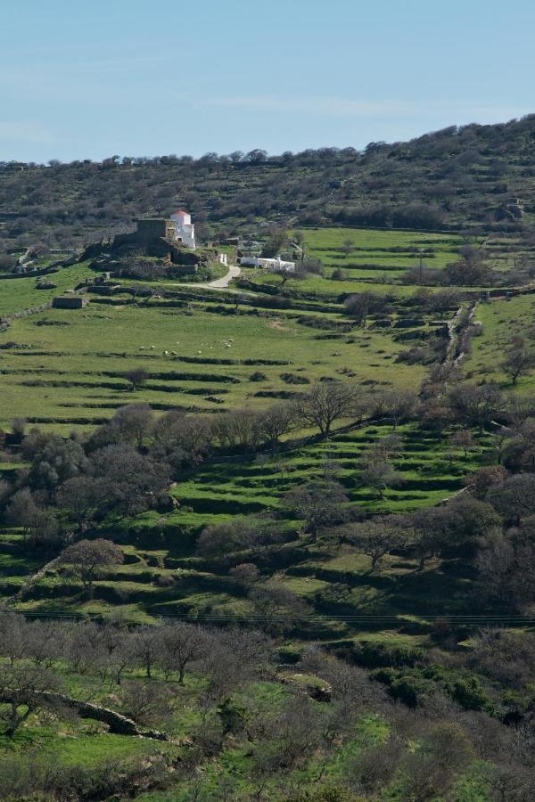 Under Royal Oaks Βίλα Pera Meria Εξωτερικό φωτογραφία