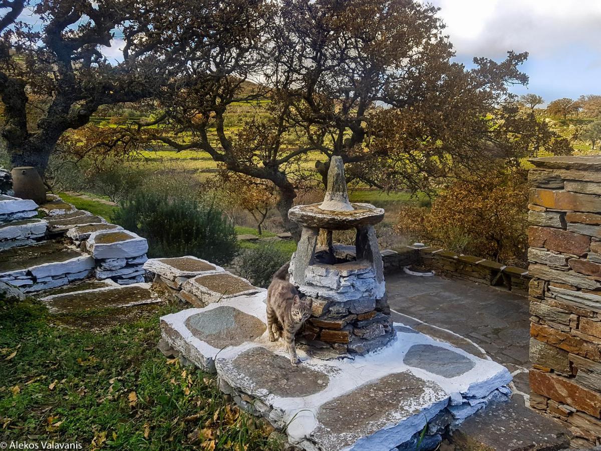 Under Royal Oaks Βίλα Pera Meria Εξωτερικό φωτογραφία