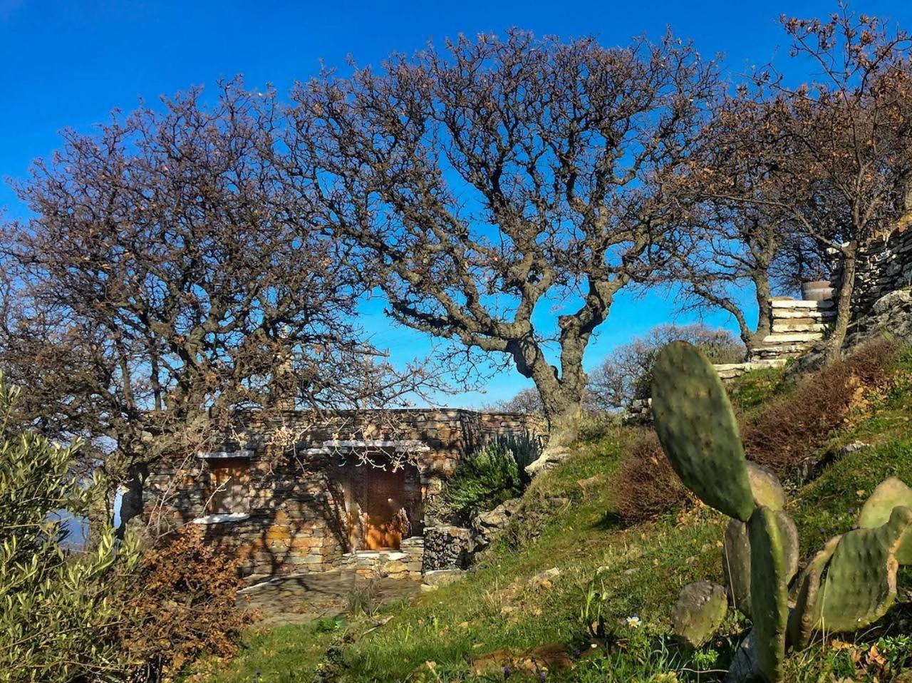 Under Royal Oaks Βίλα Pera Meria Εξωτερικό φωτογραφία