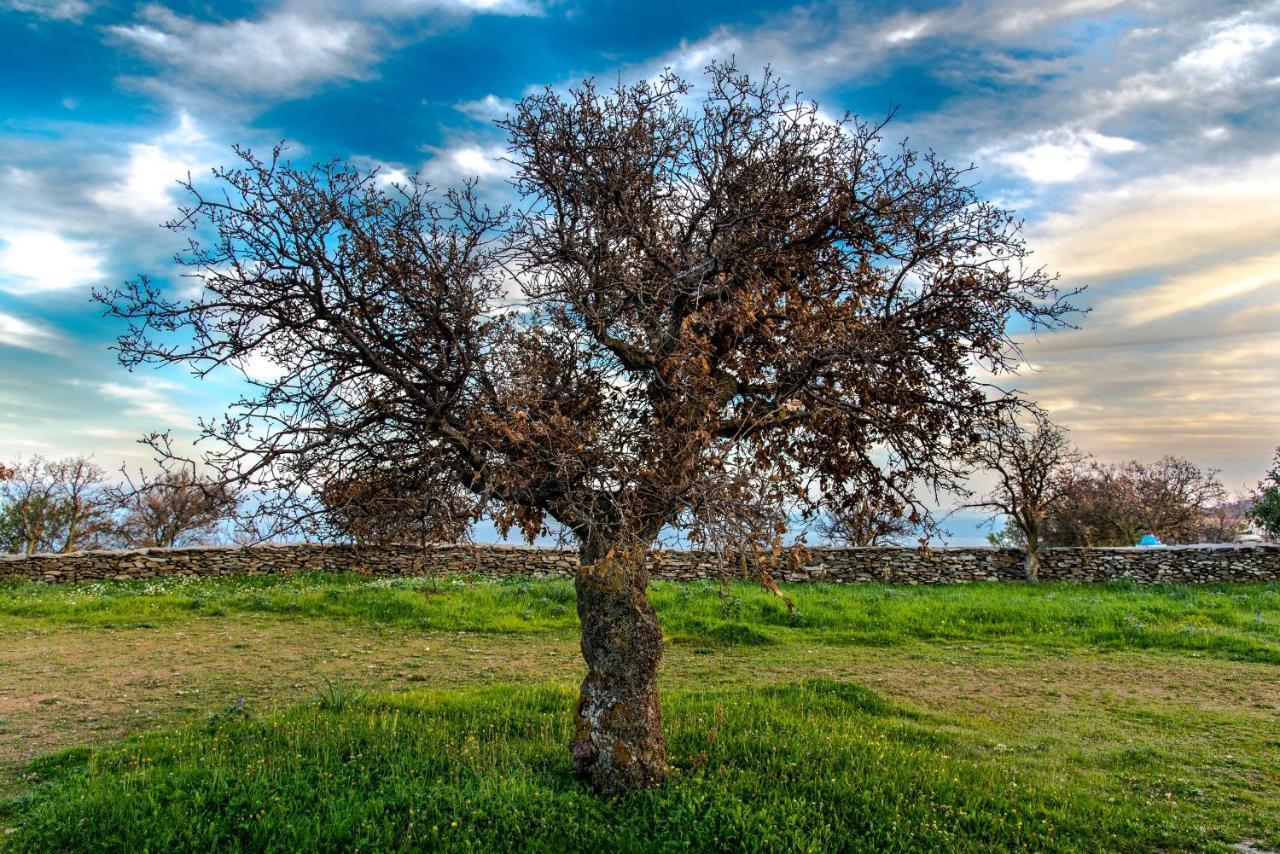 Under Royal Oaks Βίλα Pera Meria Εξωτερικό φωτογραφία