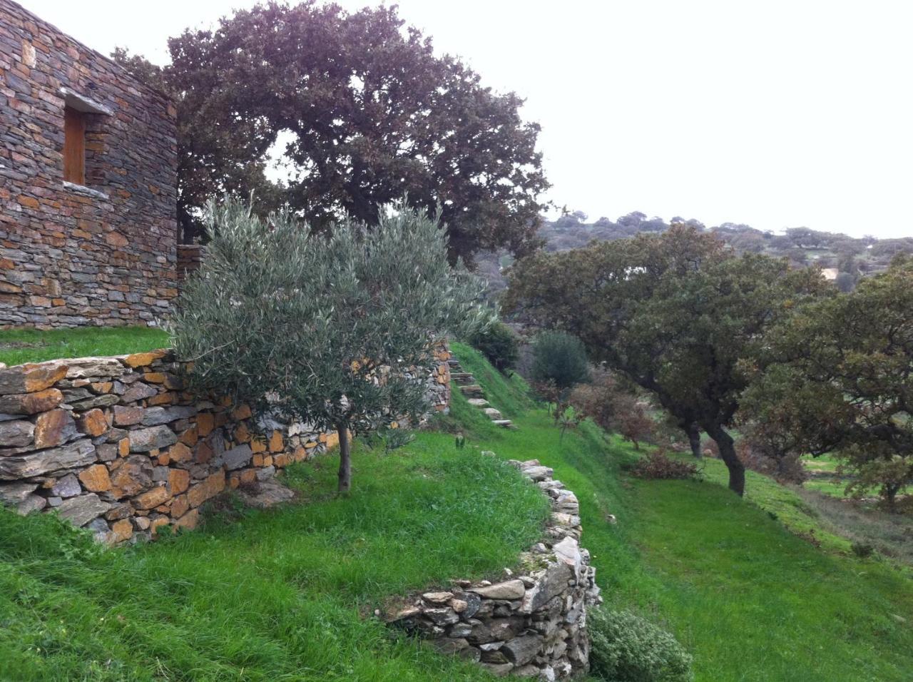 Under Royal Oaks Βίλα Pera Meria Εξωτερικό φωτογραφία